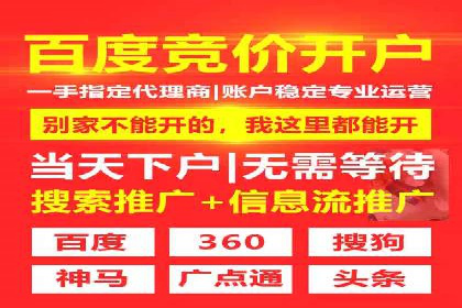 百度竞价推广与SEO结合的策略——以某科技公司为例